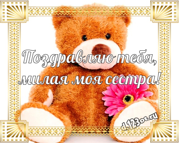 Поздравляю Тебя, милая моя сестра! Веселая картинка для моей сестры с медведем для ватсапа, для telegram, для вк, для facebook, для одноклассники! Скачать онлайн бесплатно для вацап!