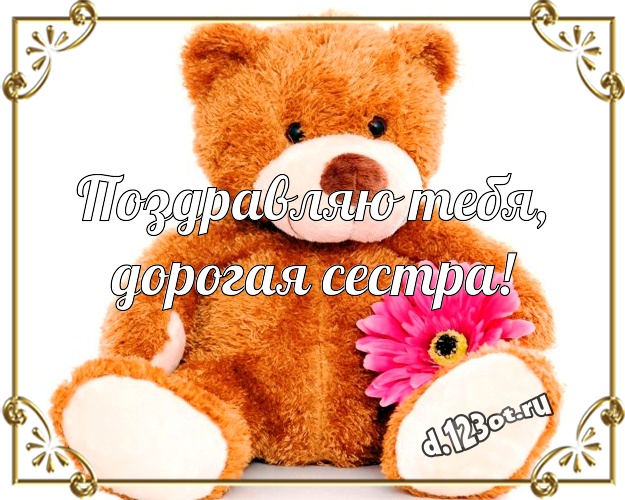 Поздравляю Тебя, дорогая сестра! Радостная открытка для лучшей сестры с милашным плюшевым медведем для вацап, для телеграм, для вк, для фейсбук, для одноклассников! Скачать онлайн бесплатно для вацап!