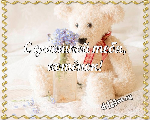 С днюшкой Тебя, котёнок! Милая открытка для дорогой девушки с медведем для whatsApp, для телеграм, для vk, для фейсбук, для одноклассники! Скачать онлайн бесплатно для вацап!