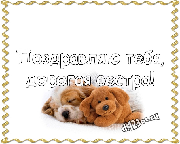 Поздравляю Тебя, дорогая сестра! Няшная открытка для лучшей сестры с мишкой для whatsApp, для телеграм, для вконтакте, для facebook, для одноклассников! Скачать онлайн бесплатно для вацап!