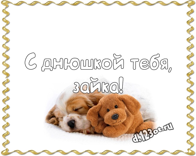 С днюшкой Тебя, зайка! Милая открытка для дорогой девушки с мишкой для вацап, для telegram, для vk, для facebook, для одноклассники! Скачать онлайн бесплатно для вацап!