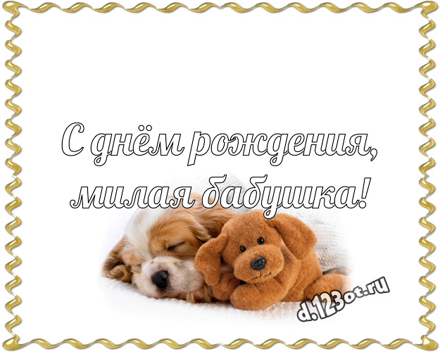 С днём рождения, милая бабушка! Пушистая открытка лучшей бабушке с классным плюшевым медвежонком для whatsApp, для телеграм, для vk, для facebook, для одноклассники! Скачать онлайн бесплатно для вацап!