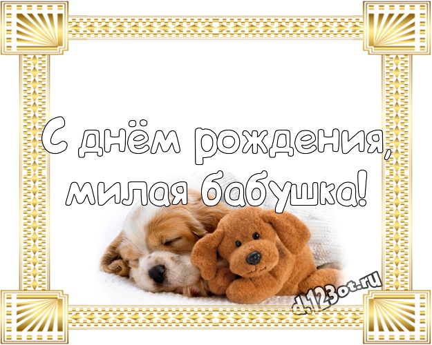 С днём рождения, милая бабушка! Пушистая картинка для моей бабулечки с мишкой для whatsApp, для telegram, для vk, для фейсбук, для одноклассники! Скачать онлайн бесплатно для вацап!