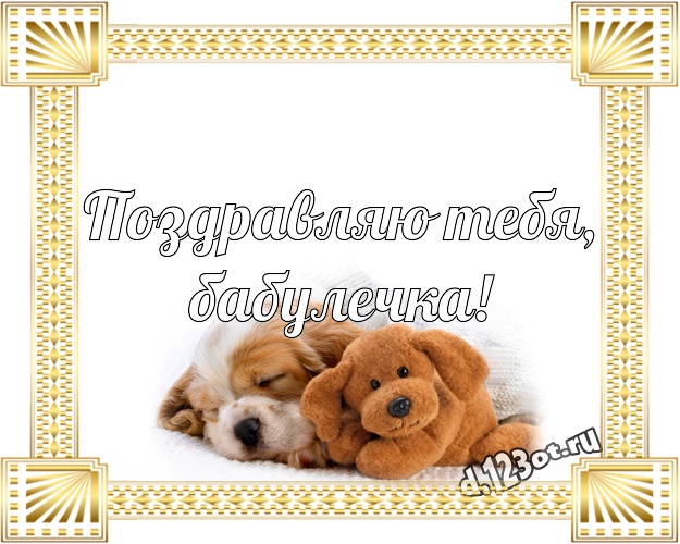 Поздравляю Тебя, бабулечка! Веселая картинка моей бабулечке с классным плюшевым медвежонком для ватсапа, для телеграм, для вк, для фейсбука, для одноклассников! Скачать онлайн бесплатно для вацап!