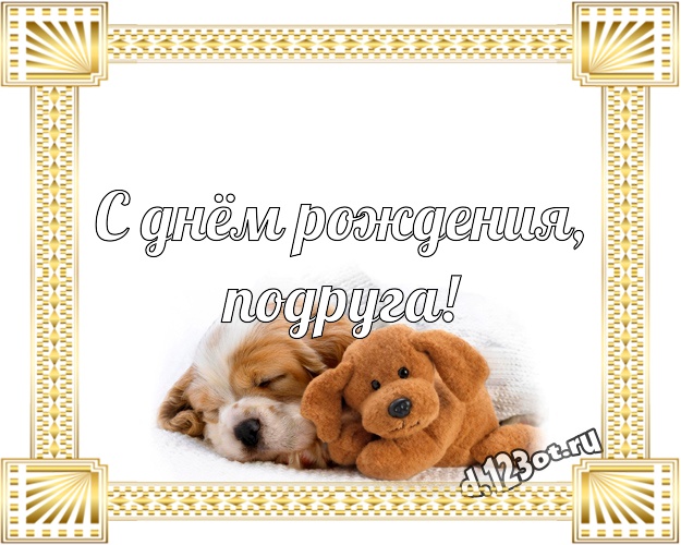 С днём рождения, подруга! Красивая открытка лучшей подруге с плюшевым мишкой для whatsApp, для telegram, для вконтакте, для фейсбука, для одноклассников! Скачать онлайн бесплатно для вацап!