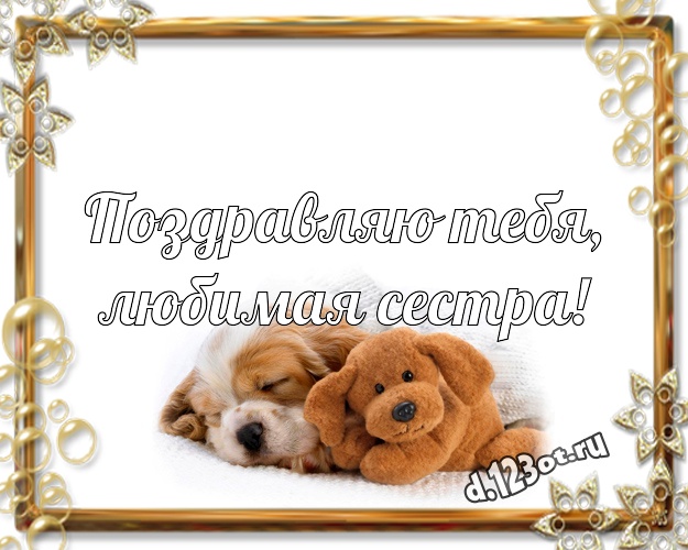 Поздравляю Тебя, любимая сестра! Веселая картинка любимой сестре с милыми плюшевыми медведями для ватсапа, для telegram, для вконтакте, для фейсбук, для одноклассники! Скачать онлайн бесплатно для вацап!