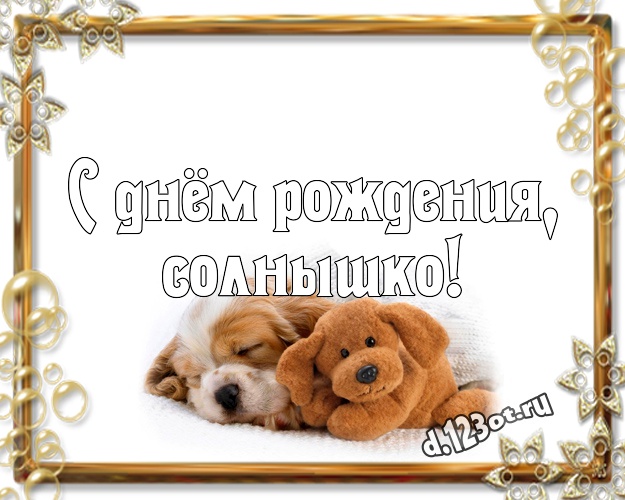 С днём рождения, солнышко! Радостная открытка для дорогой девушки с классным плюшевым медвежонком для вацап, для telegram, для vk, для фейсбук, для одноклассники! Скачать онлайн бесплатно для вацап!