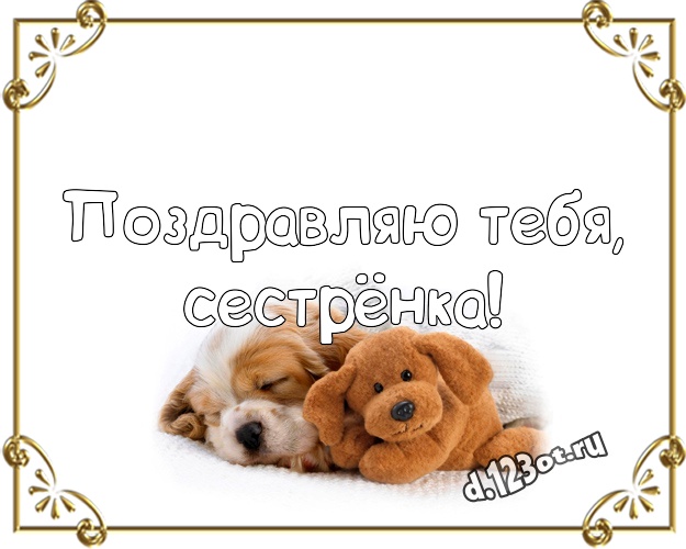 Поздравляю Тебя, сестрёнка! Ангельская открытка для моей сестры с медвежонком для вацап, для телеграм, для вк, для фейсбука, для одноклассники! Скачать онлайн бесплатно для вацап!