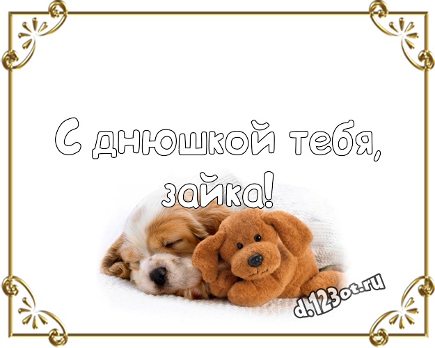 С днюшкой Тебя, зайка! Красивая картинка моей девушке с медведем для whatsApp, для telegram, для вк, для facebook, для одноклассников! Скачать онлайн бесплатно для вацап!