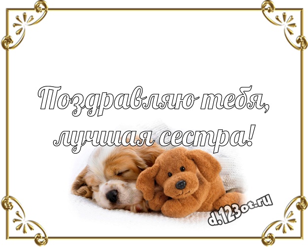 Поздравляю Тебя, лучшая сестра! Пушистая картинка любимой сестре с мишками для whatsApp, для telegram, для вк, для facebook, для одноклассников! Скачать онлайн бесплатно для вацап!