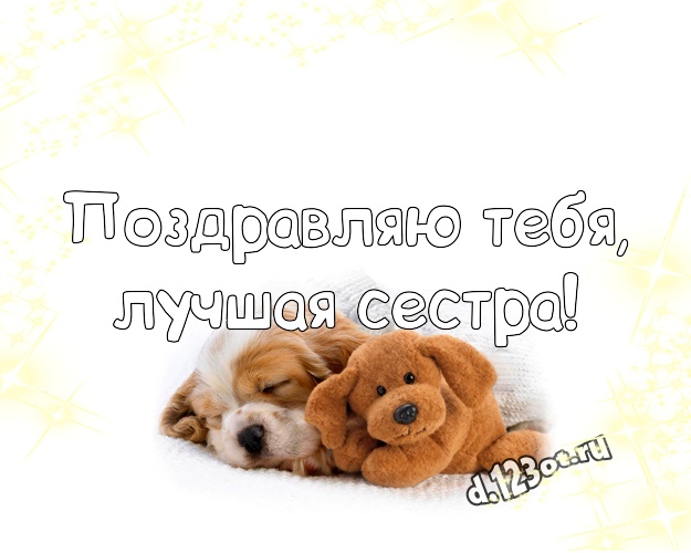 Поздравляю Тебя, лучшая сестра! Милая открытка моей сестренке с мишками для whatsApp, для телеграм, для вк, для фейсбук, для одноклассники! Скачать онлайн бесплатно для вацап!