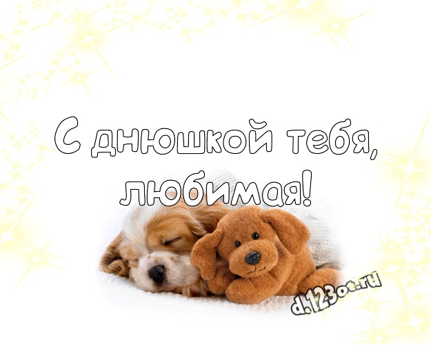 С днюшкой Тебя, любимая! Няшная открытка любимой девушке с милашным плюшевым медведем для вацап, для telegram, для вк, для фейсбук, для одноклассников! Скачать онлайн бесплатно для вацап!