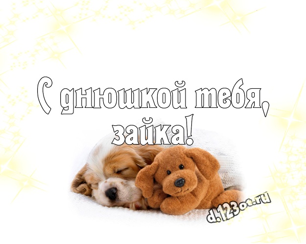 С днюшкой Тебя, зайка! Ангельская открытка любимой девушке с классным плюшевым медвежонком для вацап, для телеграм, для вк, для фейсбук, для одноклассников! Скачать онлайн бесплатно для вацап!