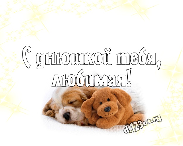 С днюшкой Тебя, любимая! Милашная открытка любимой девушке с медвежатами для ватсапа, для telegram, для вк, для фейсбука, для одноклассников! Скачать онлайн бесплатно для вацап!