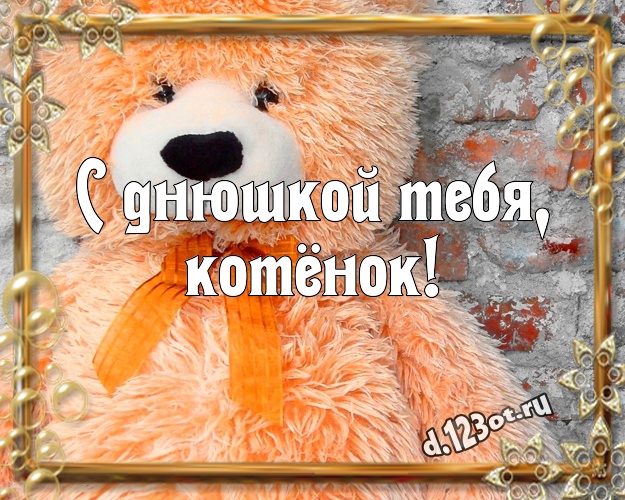 С днюшкой Тебя, котёнок! Веселая картинка лучшей девушке с плюшевой игрушкой медведя для ватсапа, для telegram, для вк, для facebook, для одноклассников! Скачать онлайн бесплатно для вацап!