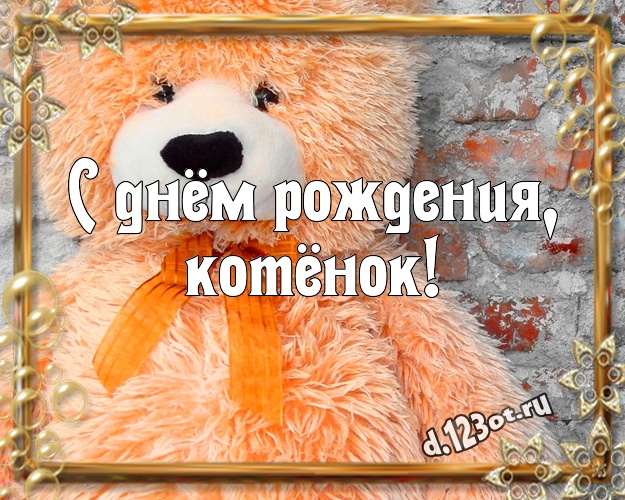 С днём рождения, котёнок! Радостная открытка для моей девушки с классным плюшевым медвежонком для ватсапа, для телеграм, для вк, для facebook, для одноклассники! Скачать онлайн бесплатно для вацап!