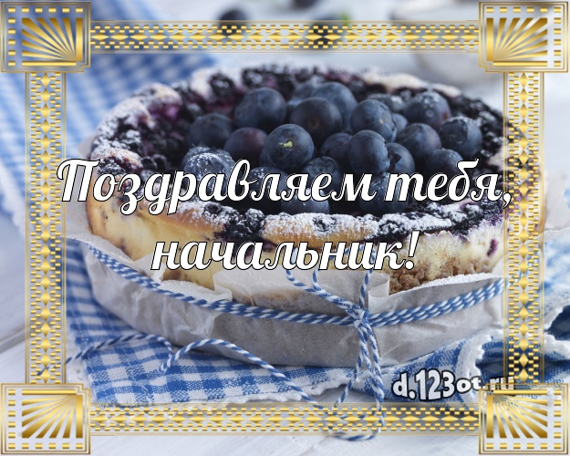 Поздравляем Тебя, начальник! Яркая картинка для директора с лучшим тортом для whatsApp, для telegram, для вк, для facebook, для одноклассников! Скачать онлайн бесплатно для вацап!
