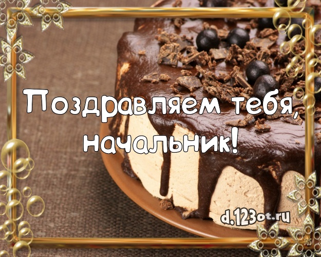 Поздравляем Тебя, начальник! Сладкая картинка для босса с шоколадным тортом для whatsApp, для телеграм, для vk, для фейсбука, для одноклассники! Скачать онлайн бесплатно для вацап!