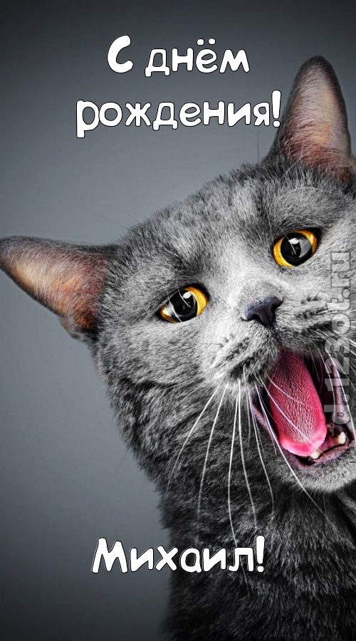 от других отличная открытка с днём рождения михаил, скачать онлайн бесплатно на iphone для вацап, поздравление михаил