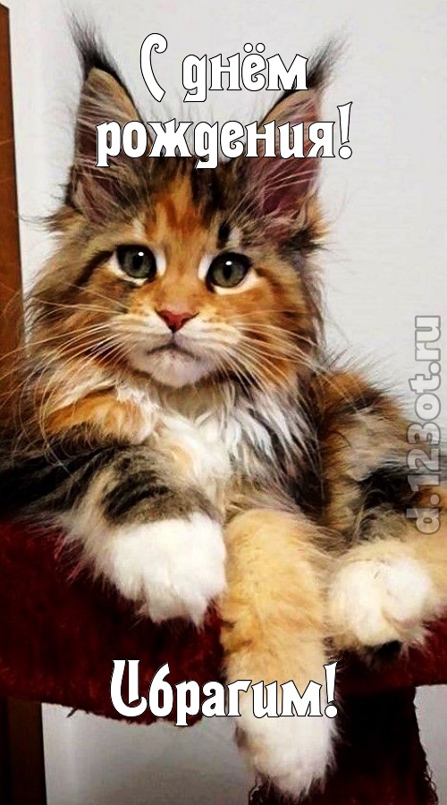 открытая и добрая открытка с днём рождения ибрагим, скачать онлайн бесплатно на iphone для вацап, поздравление ибрагим