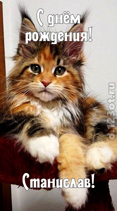 открытая и добрая открытка с днём рождения станислав, скачать онлайн бесплатно на iphone для вацап, поздравление станислав