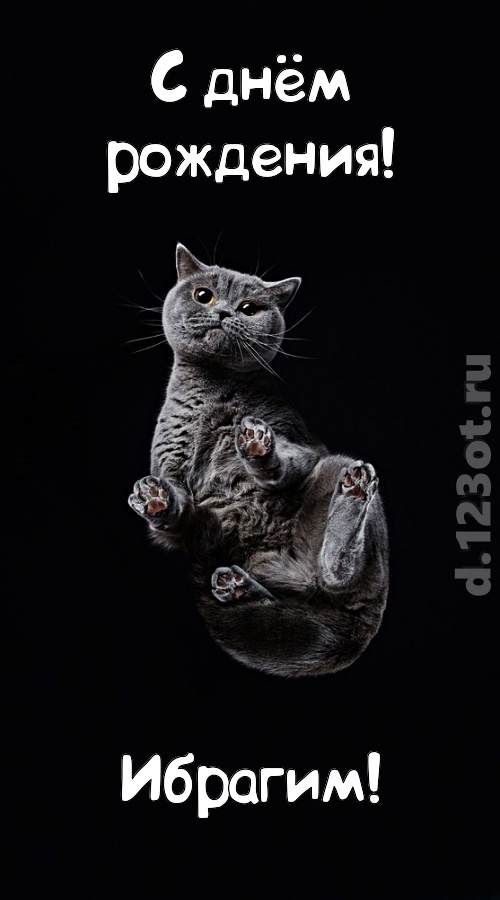 отменная открытка с днём рождения ибрагим, скачать онлайн бесплатно на iphone для вацап, поздравление ибрагим
