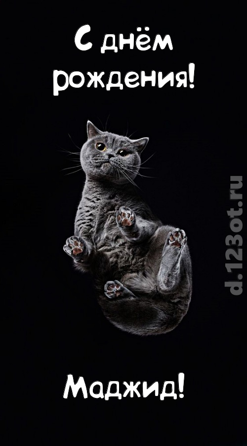 отменная открытка с днём рождения маджид, скачать онлайн бесплатно на iphone для вацап, поздравление маджид