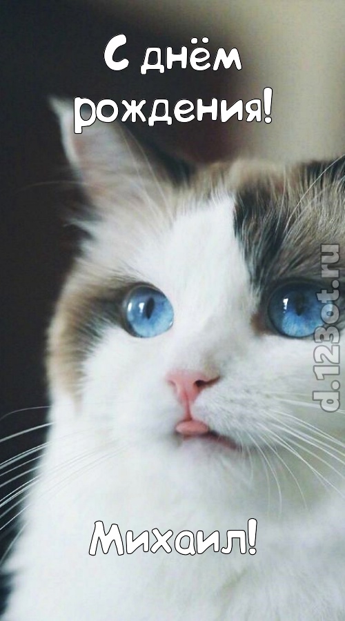 очаровательная открытка с днём рождения михаил, скачать онлайн бесплатно на iphone для вацап, поздравление михаил