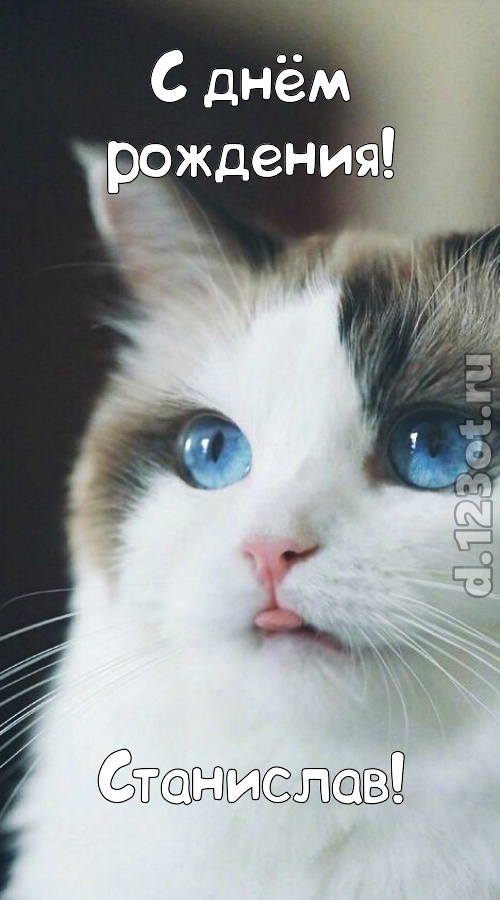 очаровательная открытка с днём рождения станислав, скачать онлайн бесплатно на iphone для вацап, поздравление станислав