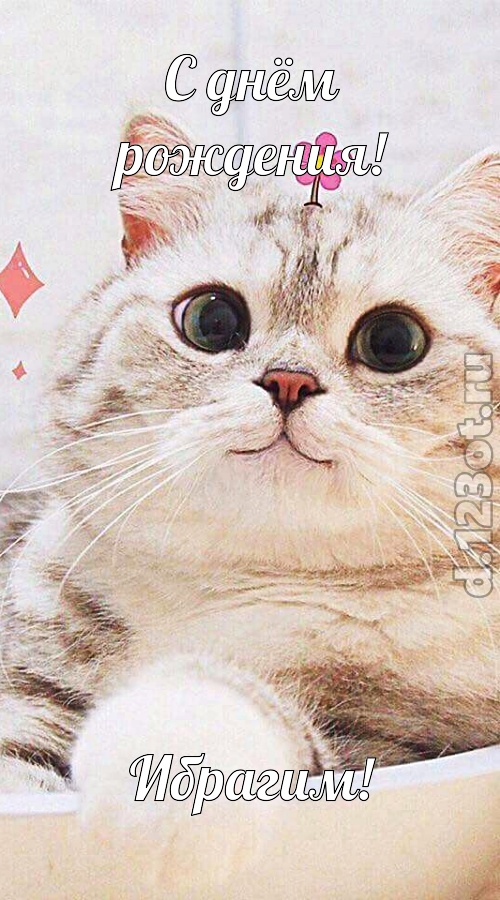 очень популярная открытка с днём рождения ибрагим, скачать онлайн бесплатно на iphone для вацап, поздравление ибрагим