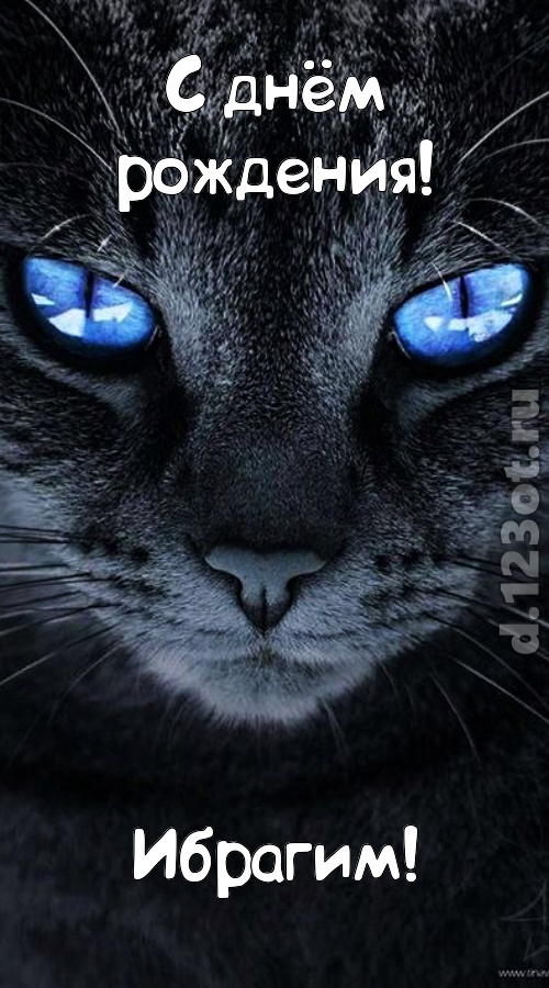 ошеломительно-обалденная открытка с днём рождения ибрагим, скачать онлайн бесплатно на iphone для вацап, поздравление ибрагим