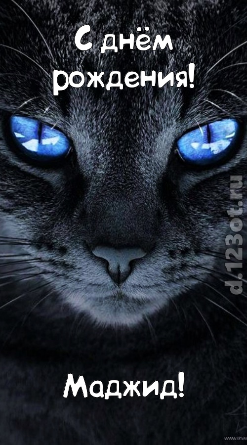 ошеломительно-обалденная открытка с днём рождения маджид, скачать онлайн бесплатно на iphone для вацап, поздравление маджид