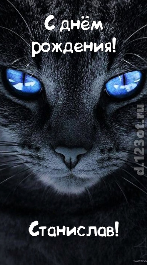 ошеломительно-обалденная открытка с днём рождения станислав, скачать онлайн бесплатно на iphone для вацап, поздравление станислав