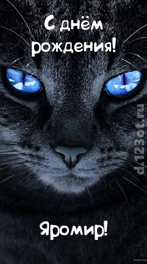 ошеломительно-обалденная открытка с днём рождения яромир, скачать онлайн бесплатно на iphone для вацап, поздравление яромир