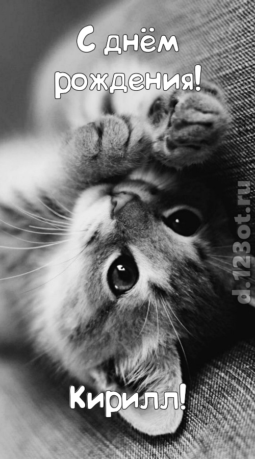 притягательная открытка с днём рождения кирилл, скачать онлайн бесплатно на iphone для вацап, поздравление кирилл