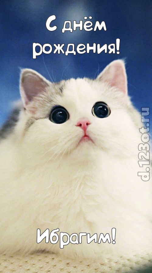проницательная открытка с днём рождения ибрагим, скачать онлайн бесплатно на iphone для вацап, поздравление ибрагим