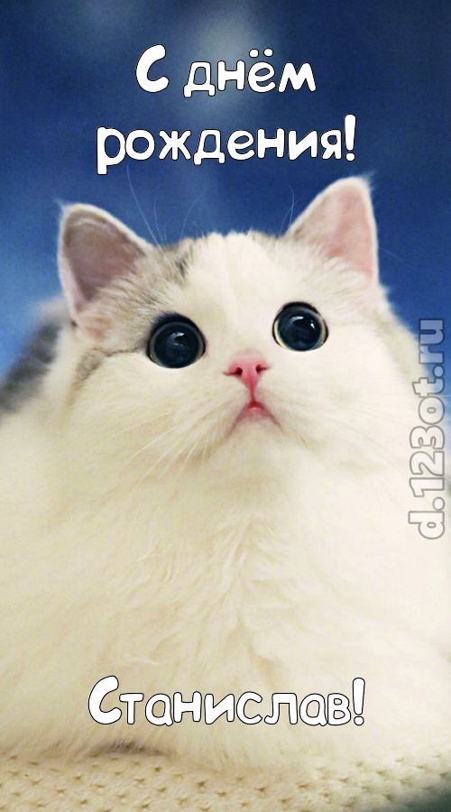 проницательная открытка с днём рождения станислав, скачать онлайн бесплатно на iphone для вацап, поздравление станислав