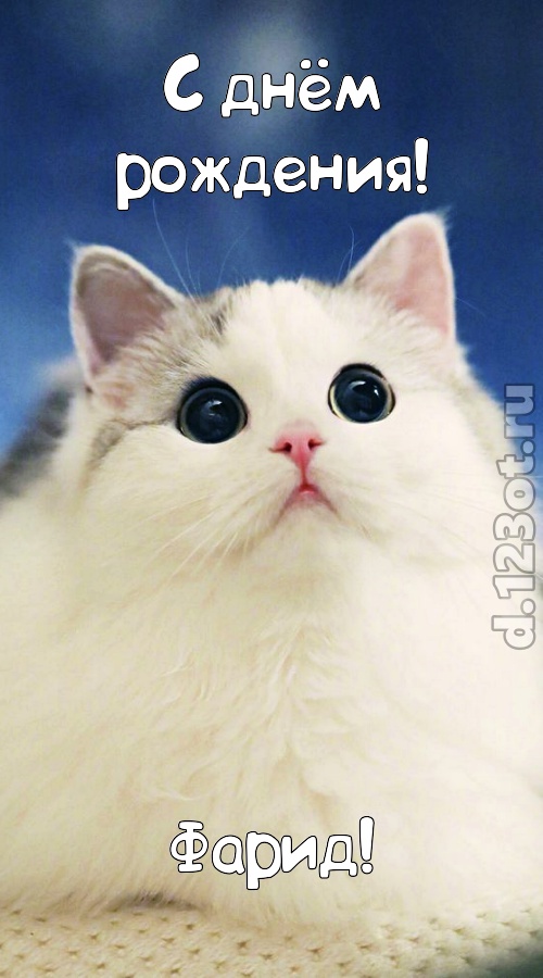 проницательная открытка с днём рождения фарид, скачать онлайн бесплатно на iphone для вацап, поздравление фарид