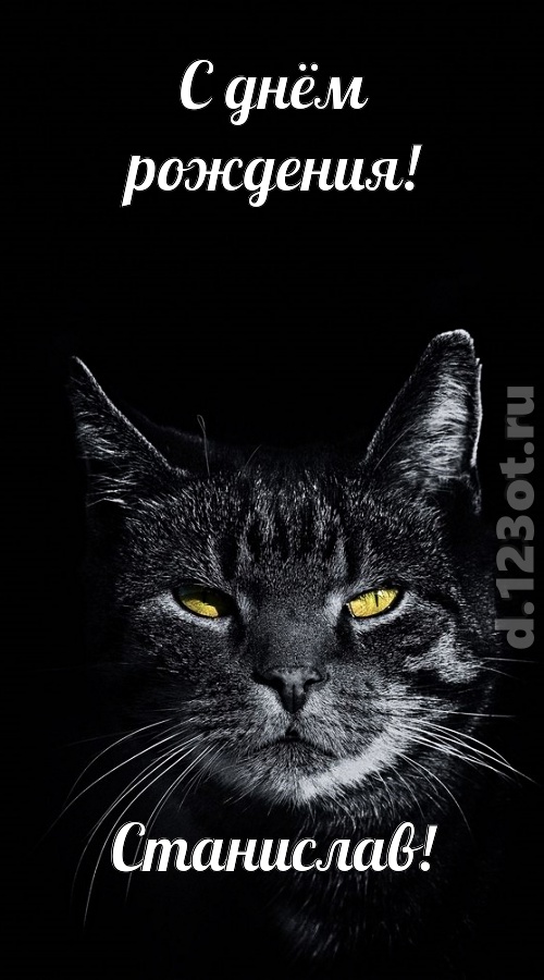 простая и сложная открытка с днём рождения станислав, скачать онлайн бесплатно на iphone для вацап, поздравление станислав