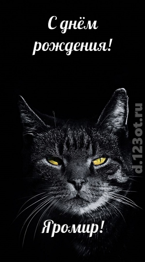простая и сложная открытка с днём рождения яромир, скачать онлайн бесплатно на iphone для вацап, поздравление яромир