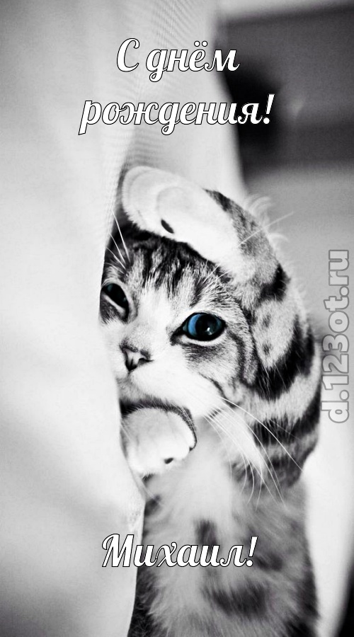 порхающая открытка с днём рождения михаил, скачать онлайн бесплатно на iphone для вацап, поздравление михаил