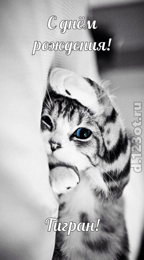 порхающая открытка с днём рождения тигран, скачать онлайн бесплатно на iphone для вацап, поздравление тигран