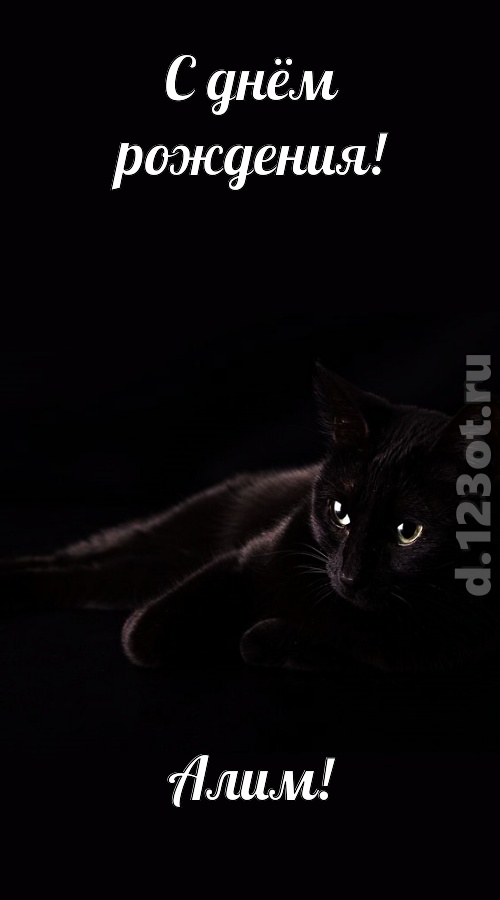 потрясная открытка с днём рождения алим, скачать онлайн бесплатно на iphone для вацап, поздравление алим