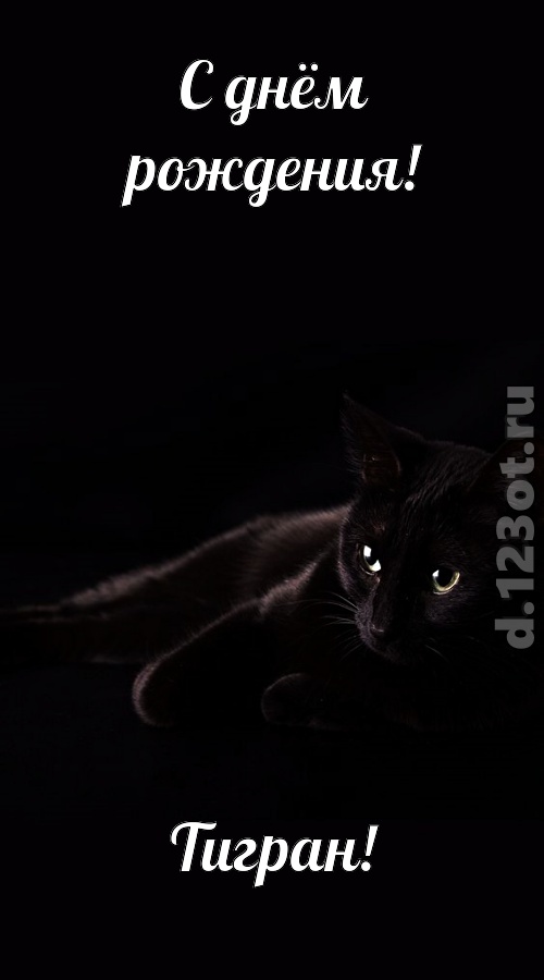 потрясная открытка с днём рождения тигран, скачать онлайн бесплатно на iphone для вацап, поздравление тигран