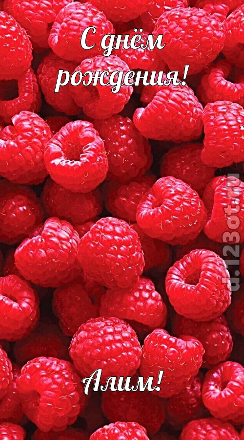 практичная открытка с днём рождения алим, скачать онлайн бесплатно на iphone для вацап, поздравление алим