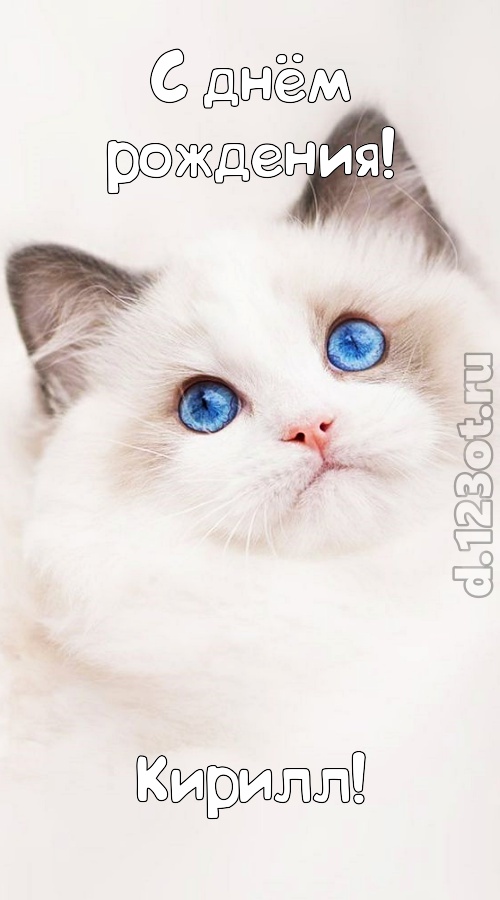 представительная открытка с днём рождения кирилл, скачать онлайн бесплатно на iphone для вацап, поздравление кирилл