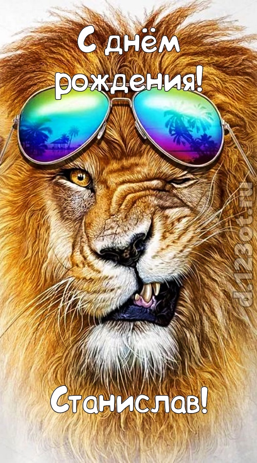располагающая открытка с днём рождения станислав, скачать онлайн бесплатно на iphone для вацап, поздравление станислав