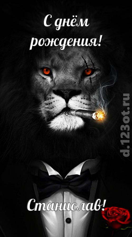 рисковая и к подвигам готовая открытка с днём рождения станислав, скачать онлайн бесплатно на iphone для вацап, поздравление станислав