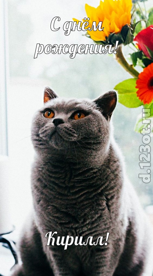романтичная открытка с днём рождения кирилл, скачать онлайн бесплатно на iphone для вацап, поздравление кирилл