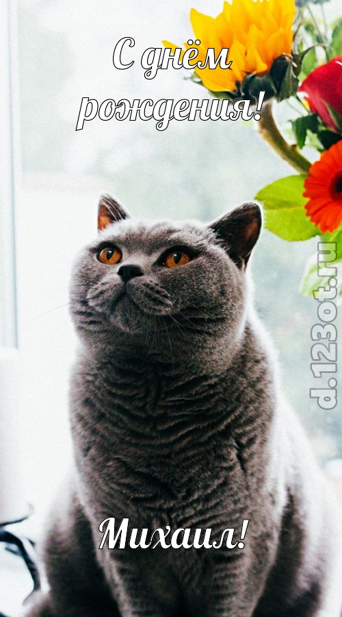 романтичная открытка с днём рождения михаил, скачать онлайн бесплатно на iphone для вацап, поздравление михаил